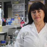 Dra. Claudia Ortiz, académica USACH: “La diversidad de miradas es fundamental para enriquecer la cie...