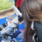 PUCV, UCN y Usach se adjudican Fondo I+D+i Universitario Frontera (FIUF)